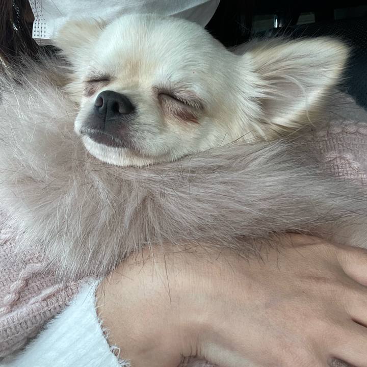 13025d71 35ba 42b6 a440 5ed76b8df98f 1669983952746