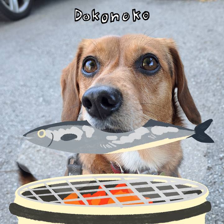 1302d127 75a1 40a5 94e6 e546868c0aa5 1761128301231