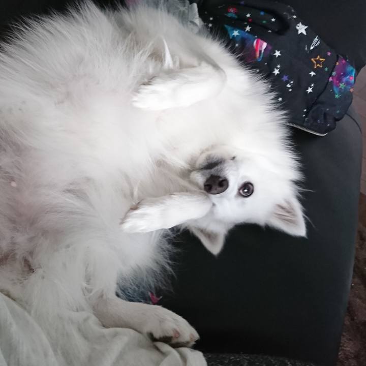 1302e52d 60e9 457c 996b e5c94c51d492 1527231820869