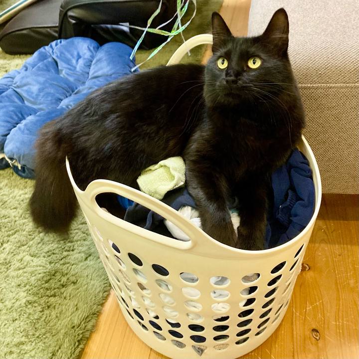 1302fd1b 0eb4 4165 89b9 d13f7073f7cb 1734677767599