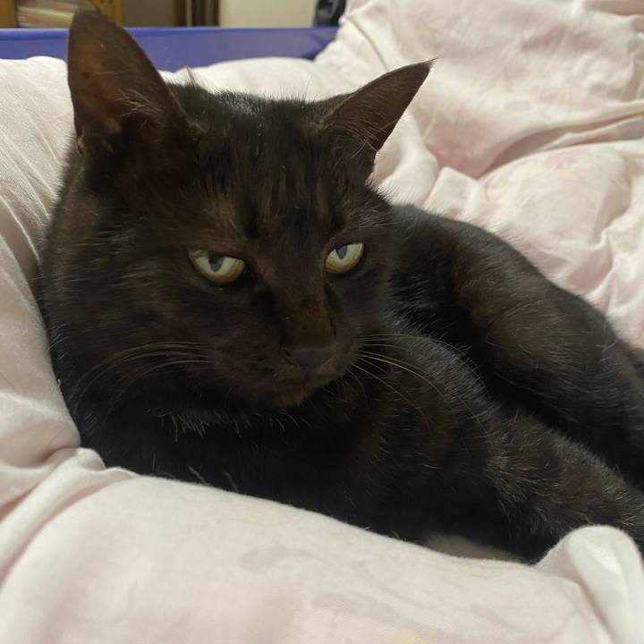 13033929 3507 47eb 983d bea471a1c87c 1609599781605