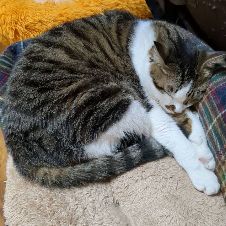 13036b9c 53e3 4000 90f3 009893167e9a 1669522425348