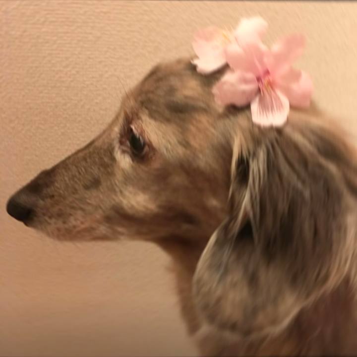 1303b15c 20a2 40e5 b815 ca92dbbc965f 1772551898598