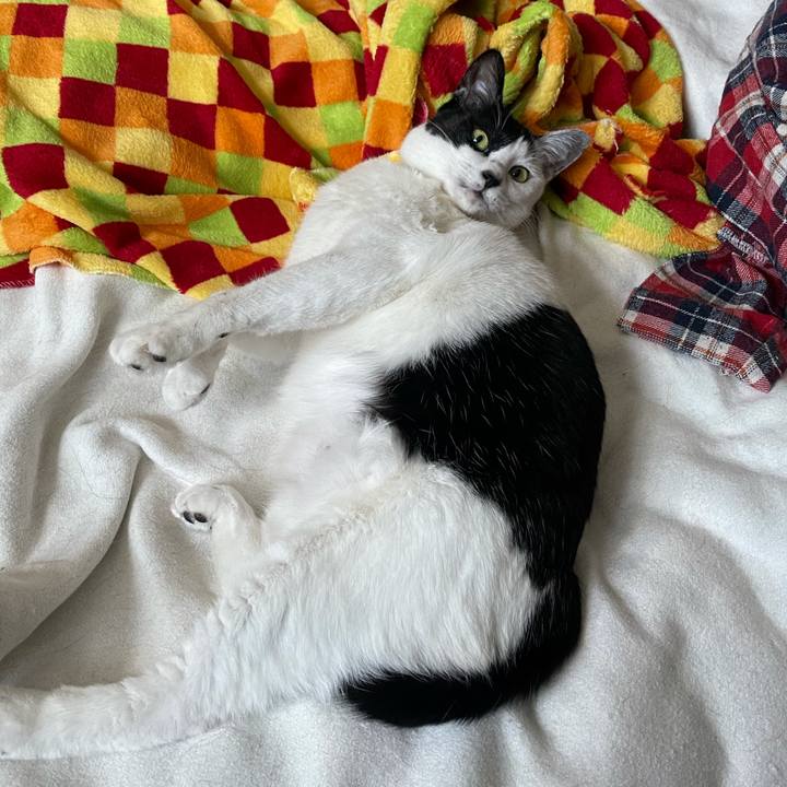 1303cc93 f9af 4f67 8f80 22644087d641 1609128712283