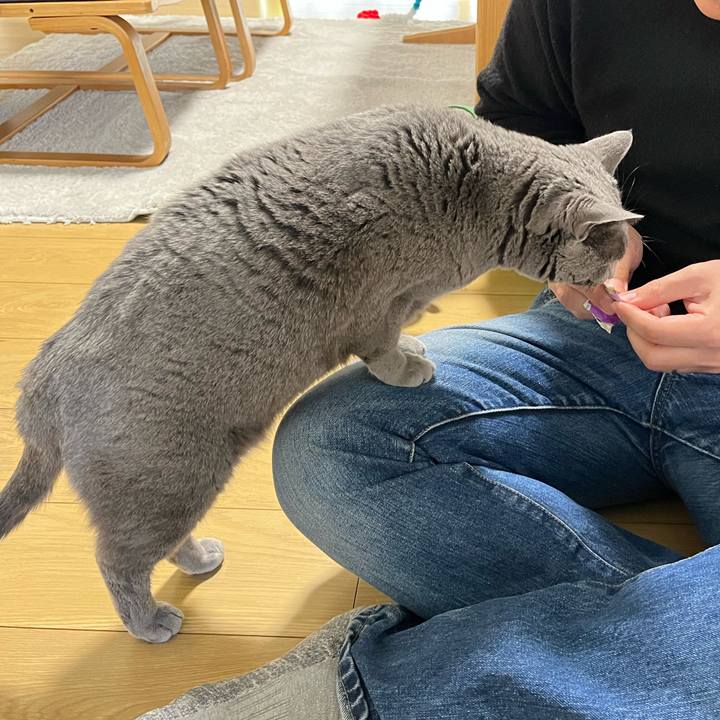 1303e0ce aaca 4857 abd9 5148110307b7 1770538529746