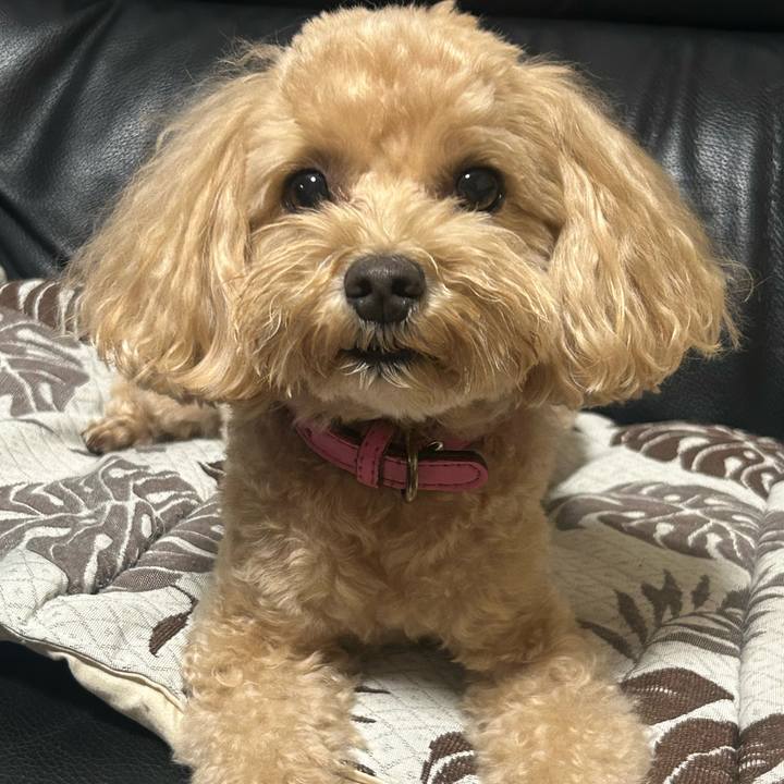 130401b0 9fae 4231 acbe 79d492800fbb 1725069978849