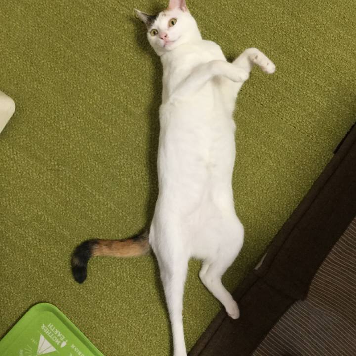 13040e86 5e22 4c5f a905 88bb05d03605 1565420092550