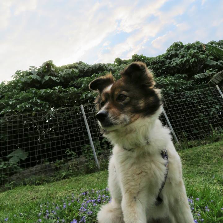 13041d2e 122a 43e1 a115 733f91ab1d66 1552742991933