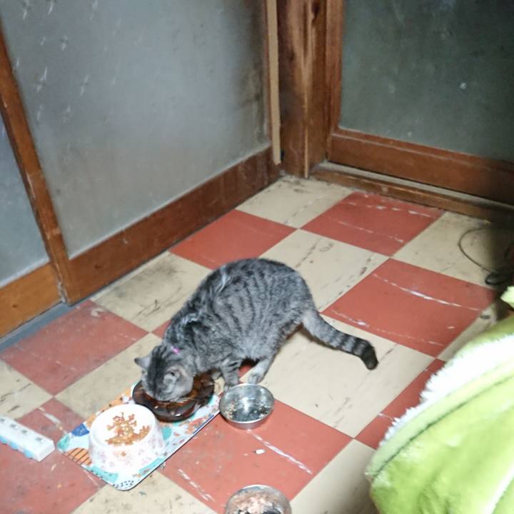 1304283d 8e11 43ab 8cdc bf1e4298321f 1584221986169