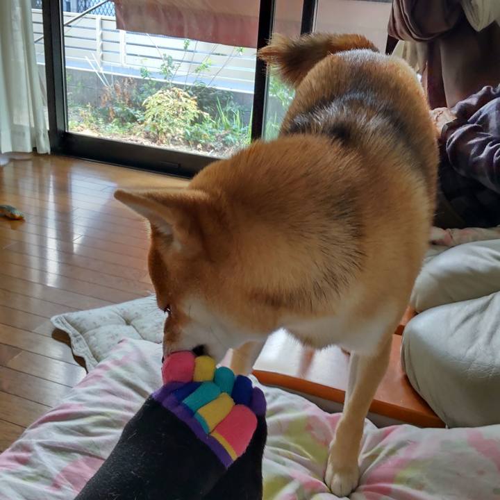 13043ed2 0b7e 4e2c bca1 283b8765e3b4 1634969291822