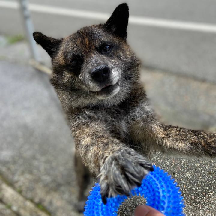 130441a2 2a67 4d43 bfce 1071e67d7a2d 1594620507400