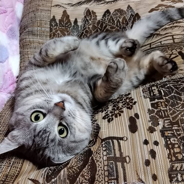 13044aa0 d172 4724 9012 887d5ca0d2a6 1585231278893