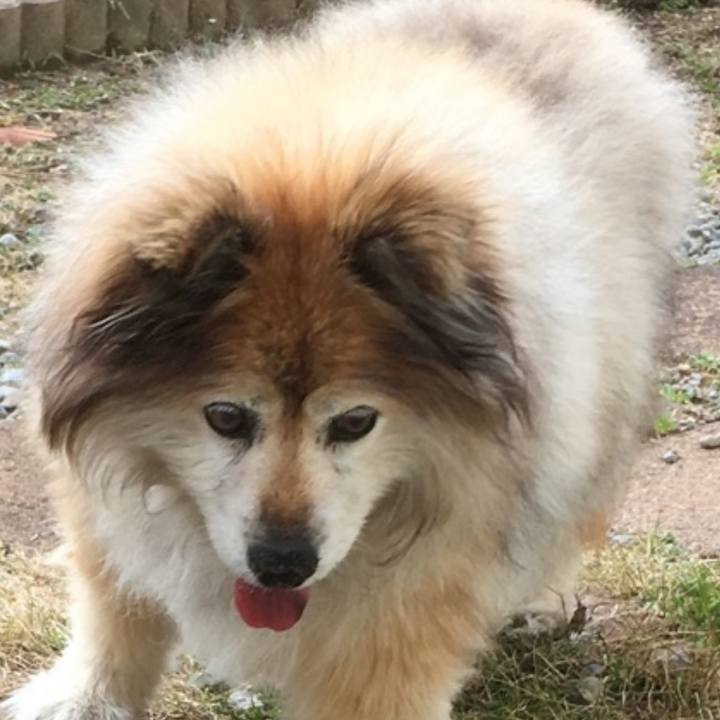 1304755b 708e 4f3d 8527 7c4a6b5e7816 1614548696545