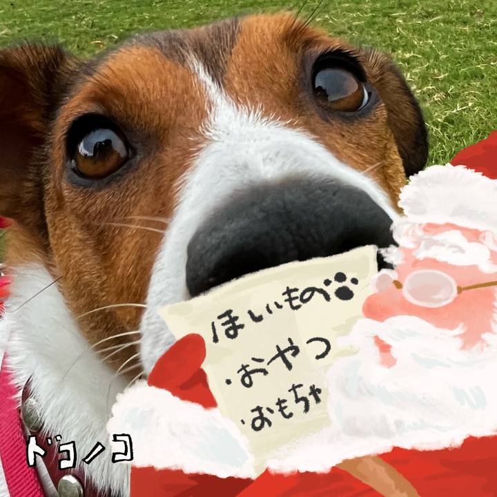 13048fc1 b386 406e 91dc 6c88dae9a4eb 1729079740677