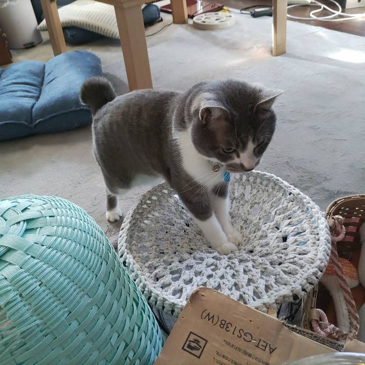 1304b418 f44e 4488 9e04 16c5368a846a 1683344142246