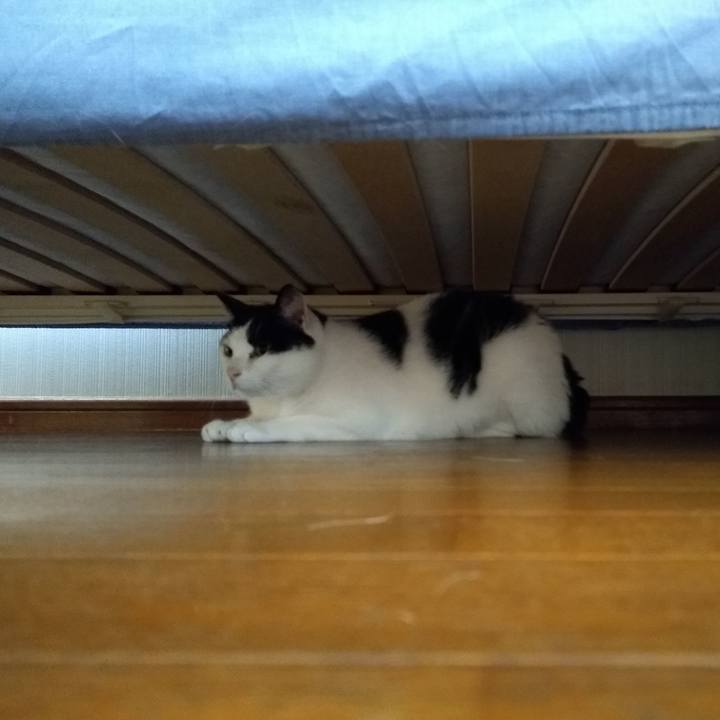 1305204b 36a6 4789 84d6 568a272c8b76 1566126140758