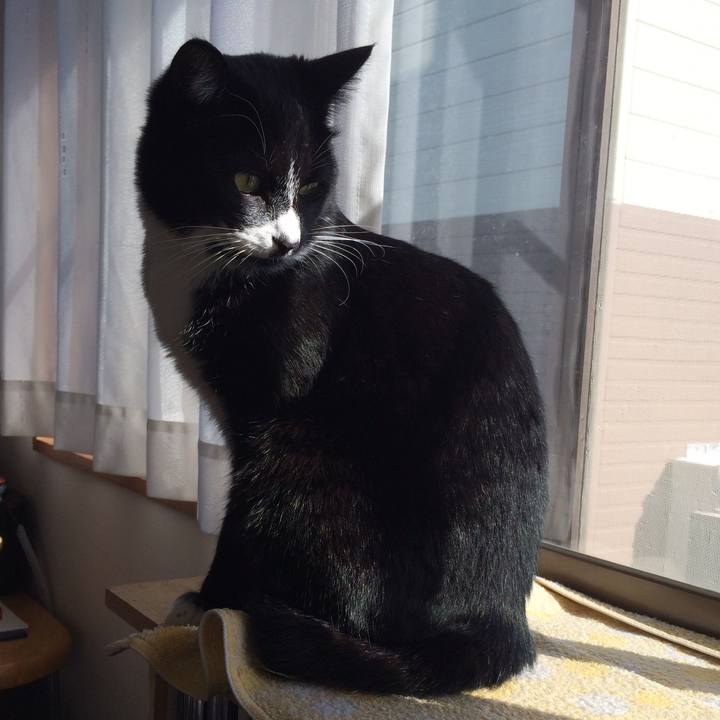 13052973 a474 40bb 91bd 3e3c9fab7c79 1516334198213