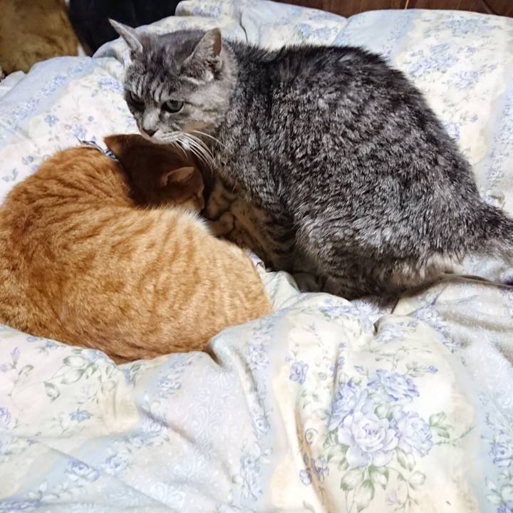 13052a16 8ee6 44b4 a455 c3bbc71f506d 1576324655580