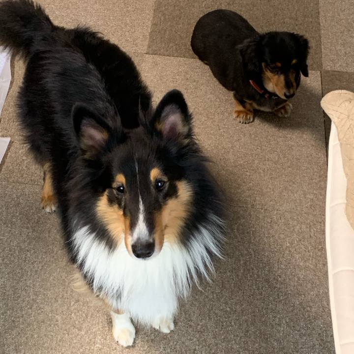 13052dba 6ab5 4497 bf7d a34700617f35 1572736361991