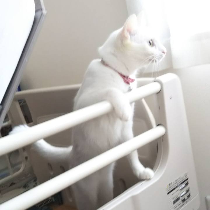 1305674e 253b 43e0 a091 7ce633d0660d 1634865158088