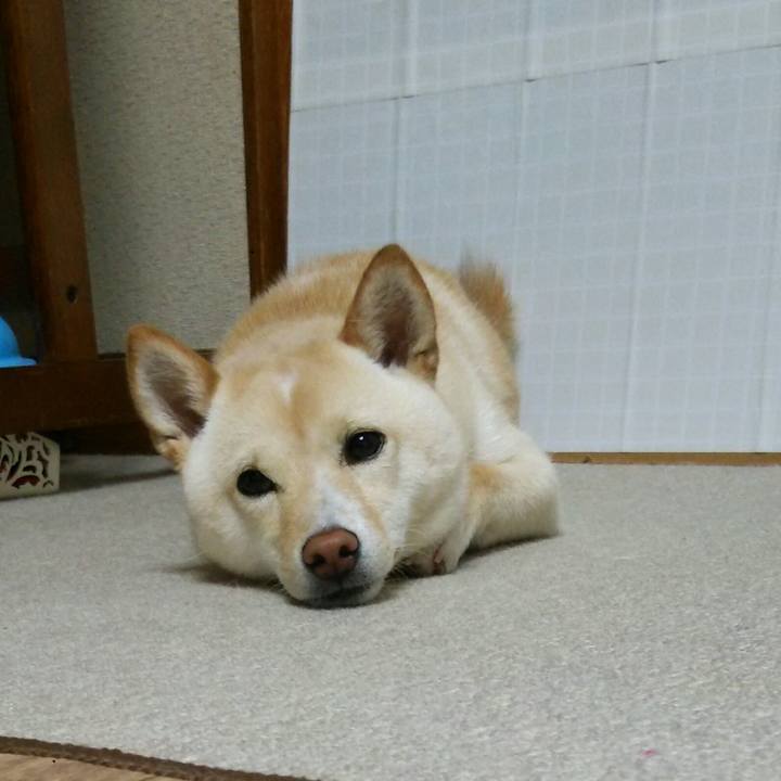 13057f42 ff06 4340 900d 0b3a8011df22 1528376192417