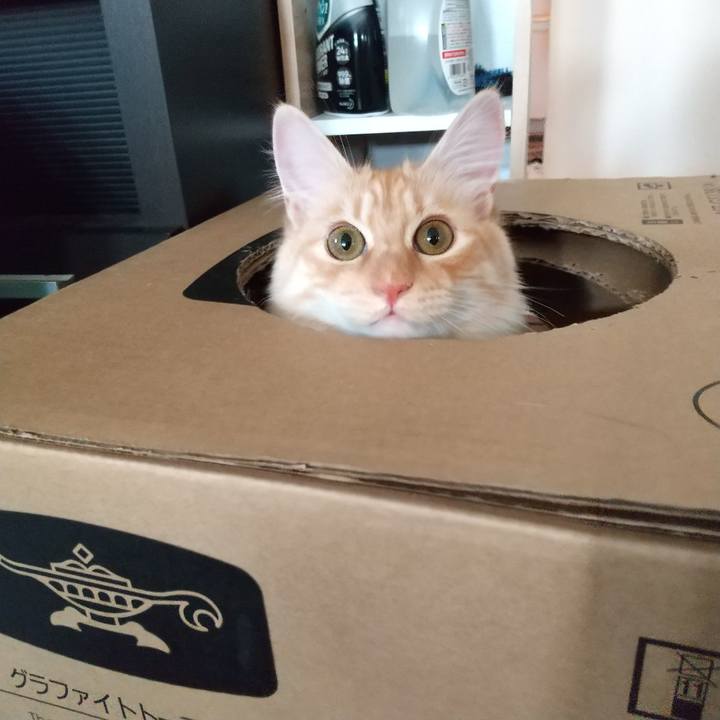 1305d850 cfc3 48c6 bcef 34b255fa7cb3 1619820876241