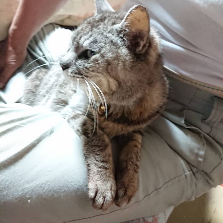 1305df44 5c10 4073 902b 13e6cf2b4004 1593288411833