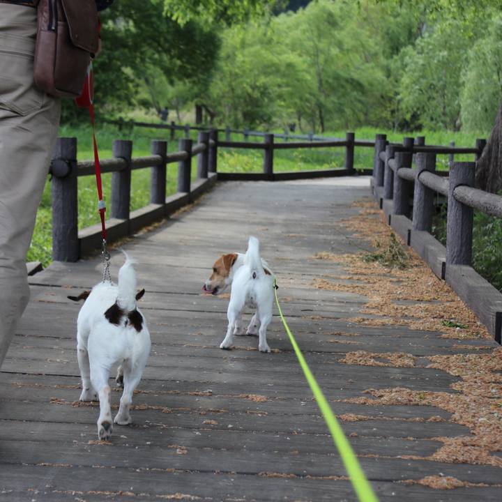 1305f59b 4543 4014 a6a8 ebb832c1f5ee 1525071638545