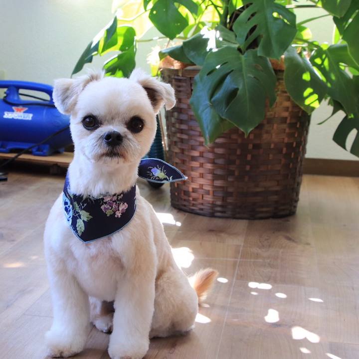 1306114d 16c2 402c bd36 6f17e94e5de0 1552124807678