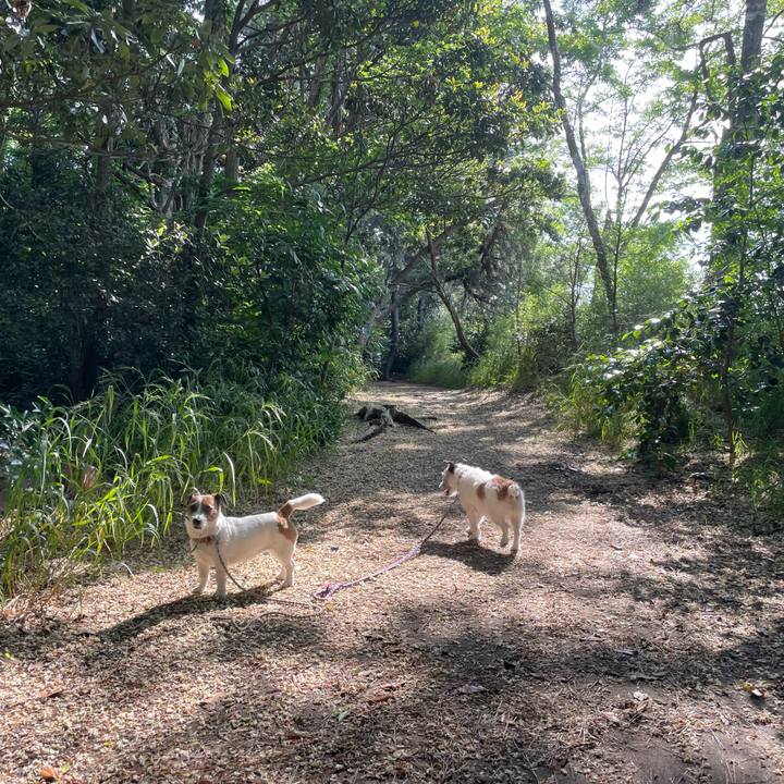 13062fc7 fcdd 4d10 807d 496e53862a30 1748392352811