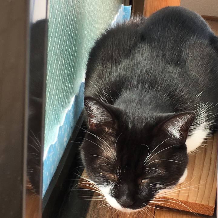 13068844 cd95 4f92 9f64 fe954672e6ef 1540348400633