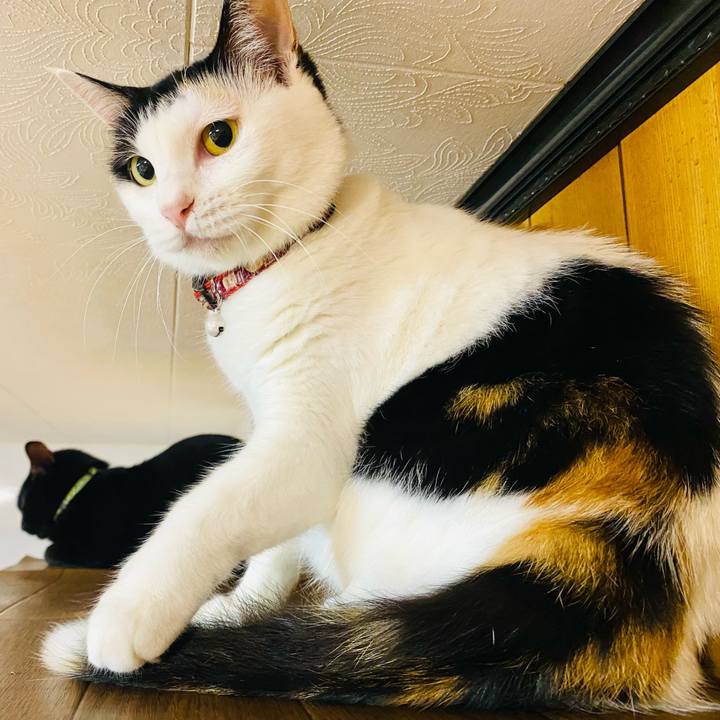 1306b5ac 7b49 4a56 a6e4 4e9ebe6fc41e 1661344043674