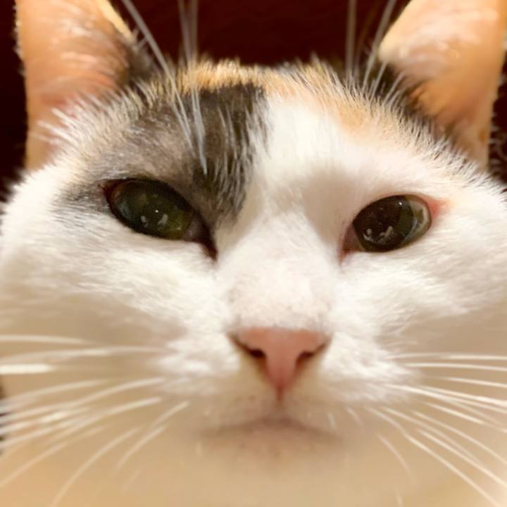 1306cf1d 9622 4f8e a631 8ef39b7f7046 1539439363320