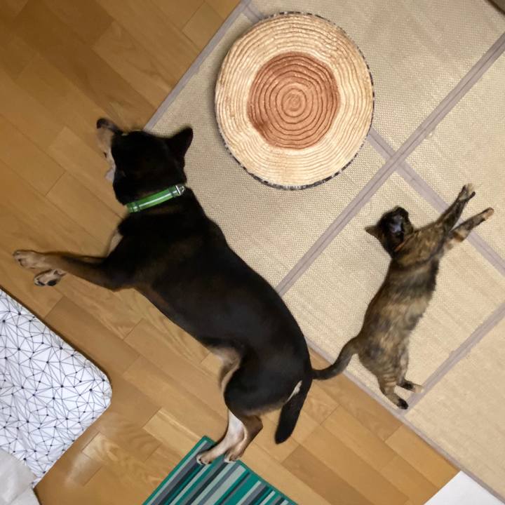 1306fa6b a47a 4c7d 88bd 96dc6c88b6bb 1594292674948