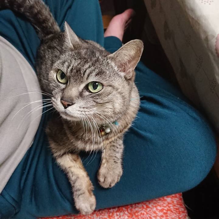 13070fd5 b8ab 4eb0 8c3b 86e2c03eb306 1556275580748