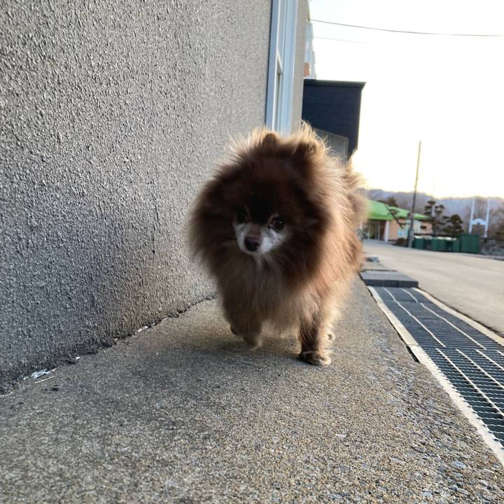 13071b4d 92ca 465a a529 fd2bf6284f48 1711576329756