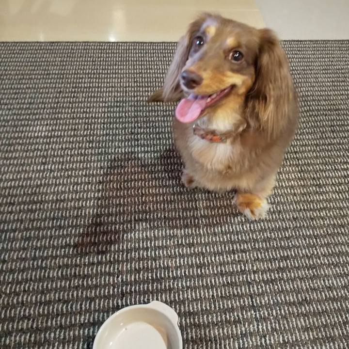 130721c6 d6da 4afb 966e 9daf28cb077a 1567302166703