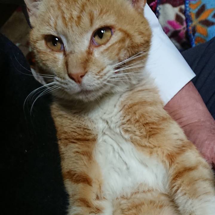 13073209 503b 438a b0d0 d0e7c0e72a9c 1554886962207