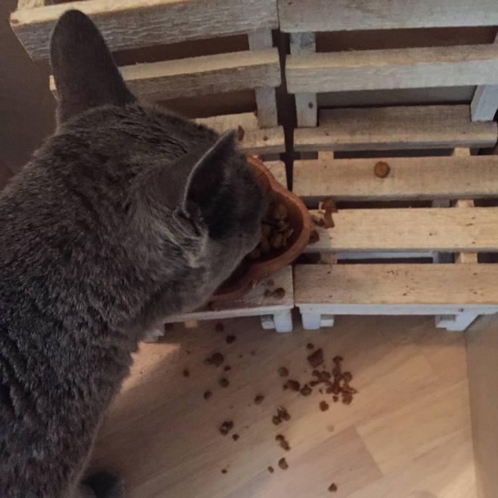 13075d50 2c9c 41a4 92e6 2fe7f74d0a85 1538696477292