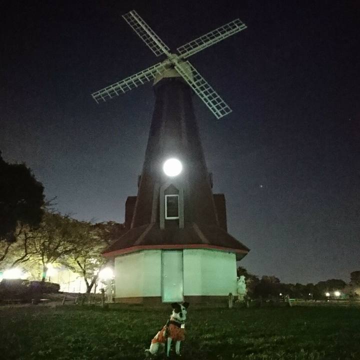 13076383 47fb 4d46 8c4f e30e3edb60bb 1509105121031