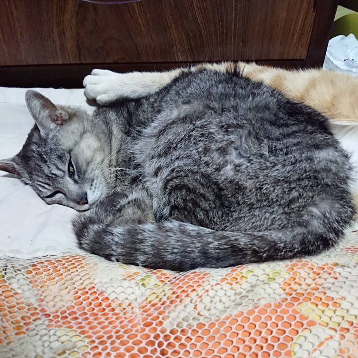 13078207 7e46 4da9 a996 aa5b2df5b708 1591537565274