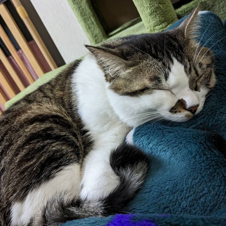 13078d08 21d1 4a06 88e9 e4e2e319f6e4 1707810274481