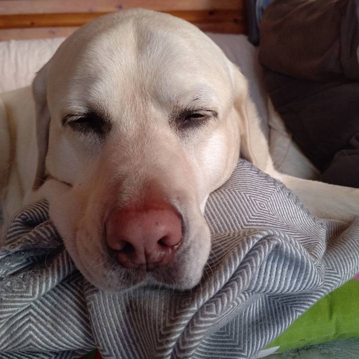 1307a41d e002 466b aa50 5107dd7bba42 1678531989114