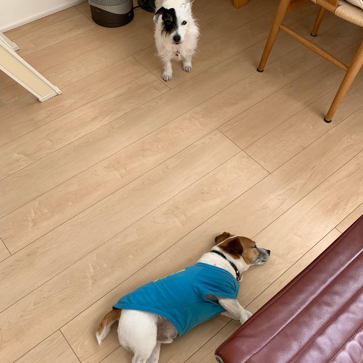 1307ab05 616b 46aa b2ac cc1aca7822e9 1619755231855