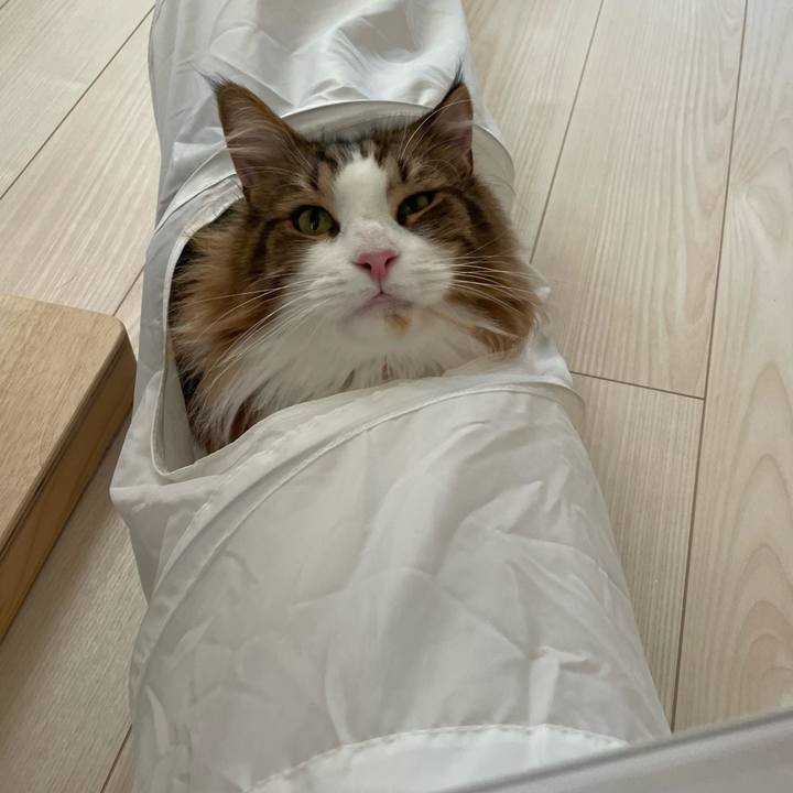 1307bd2d 8534 4461 9e8e 9371e3d17963 1693089895320