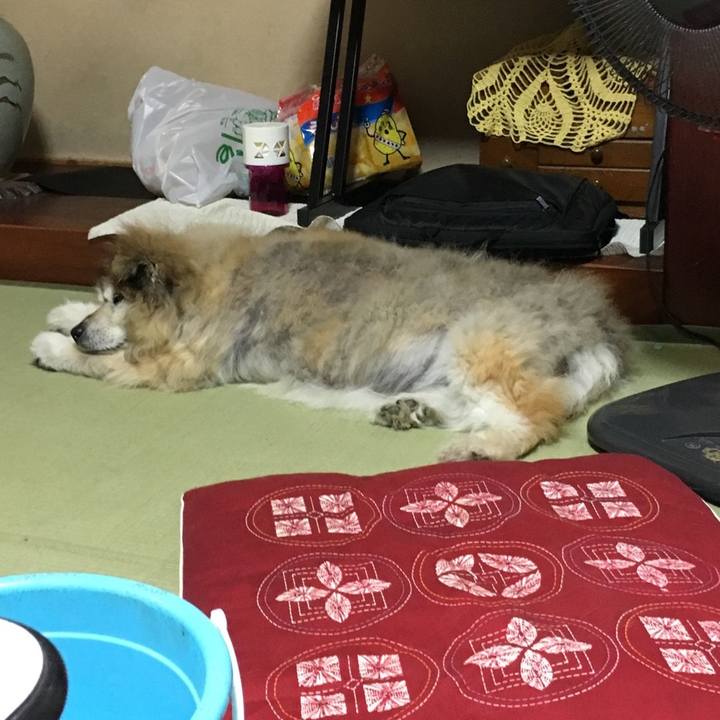 1307d930 39c9 40dd 8578 c1d353a6c02b 1601019593485