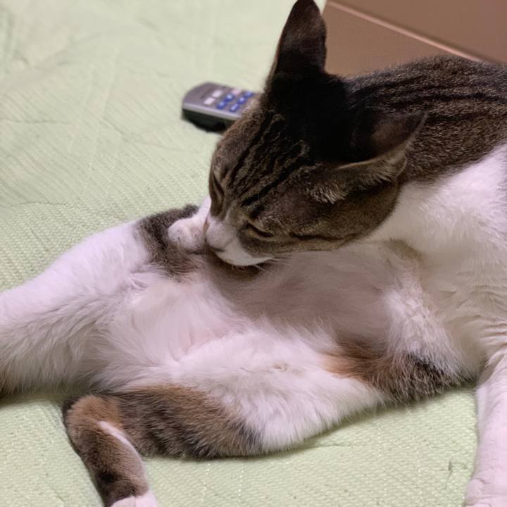 13081dd4 a238 4f91 a142 d49e172e85bd 1540257782283