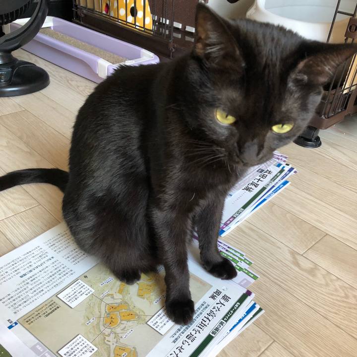 130824a3 0c2e 4a0d 9c44 4fb5fcc6cfc9 1533447906342