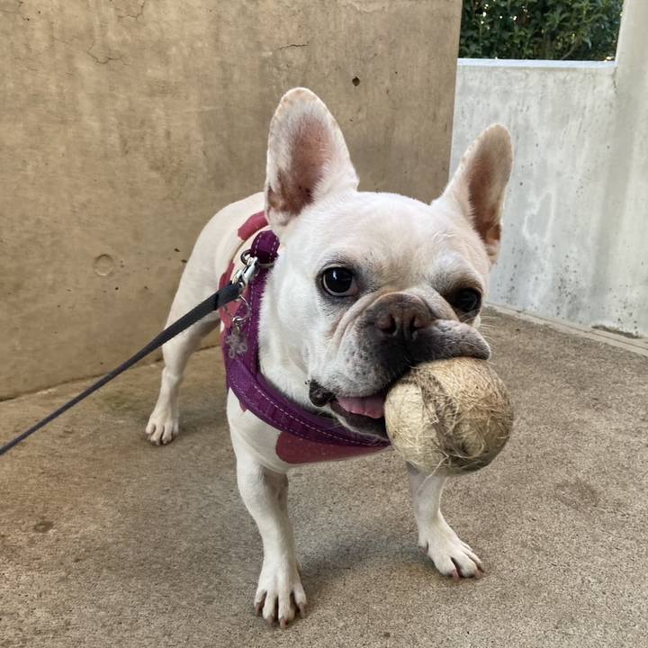 13083d57 57b2 4ecb aa69 bf06260618f1 1733389216612