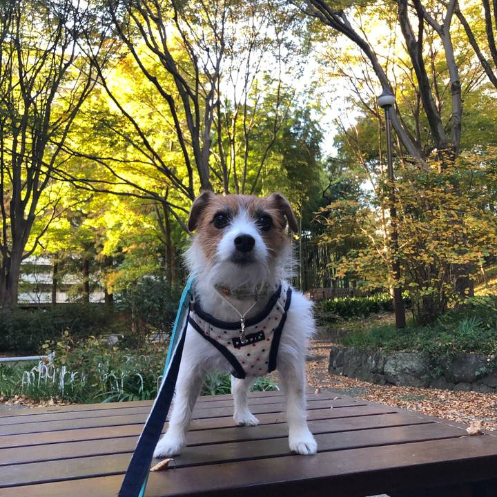 130863fc 04e5 447b 9303 a2c5f8543022 1606000016521